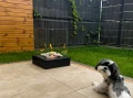 Biokominek-wolnostojacy-Sunset-Garden-czarny-aranzacja-07.webp