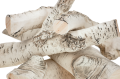 DSC08967-1200x.png